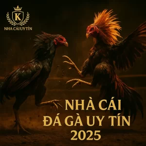 top 5 nhà cái đá gà uy tín 2025